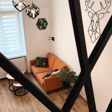 Apartamenty Dream Place Z Klimatyzacja Stary Toruń Εξωτερικό φωτογραφία