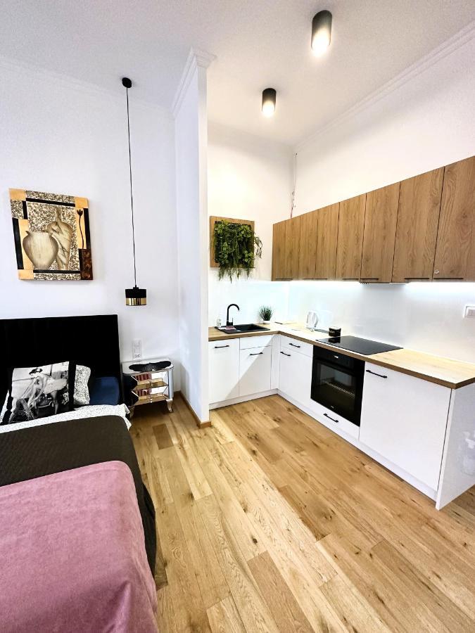 Apartamenty Dream Place Z Klimatyzacja Stary Toruń Εξωτερικό φωτογραφία