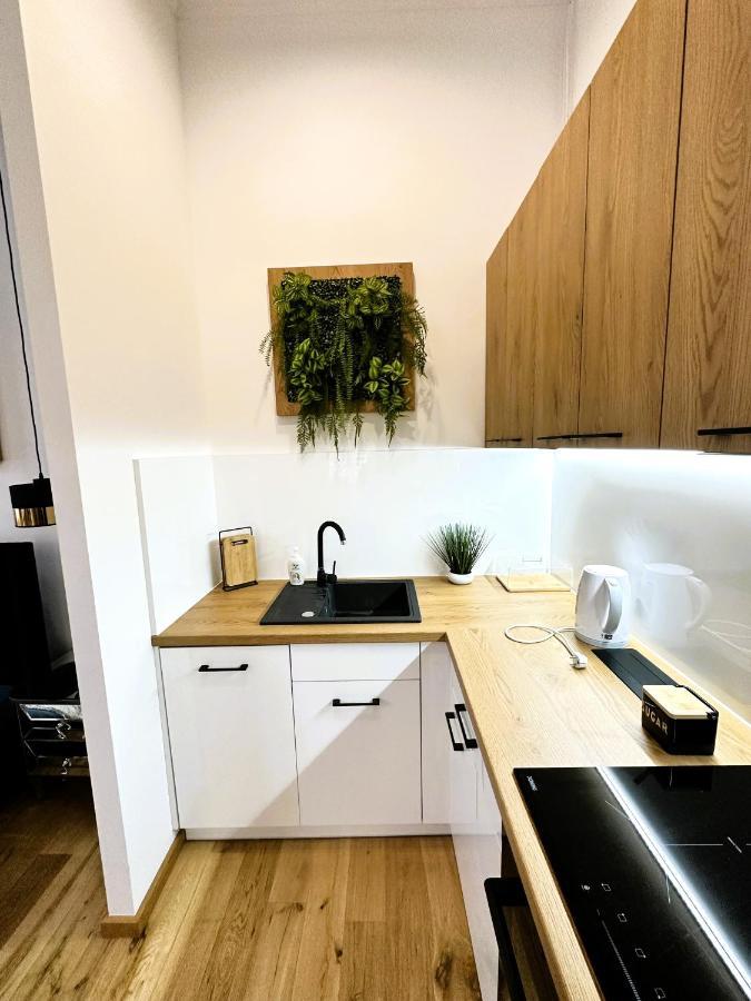 Apartamenty Dream Place Z Klimatyzacja Stary Toruń Εξωτερικό φωτογραφία